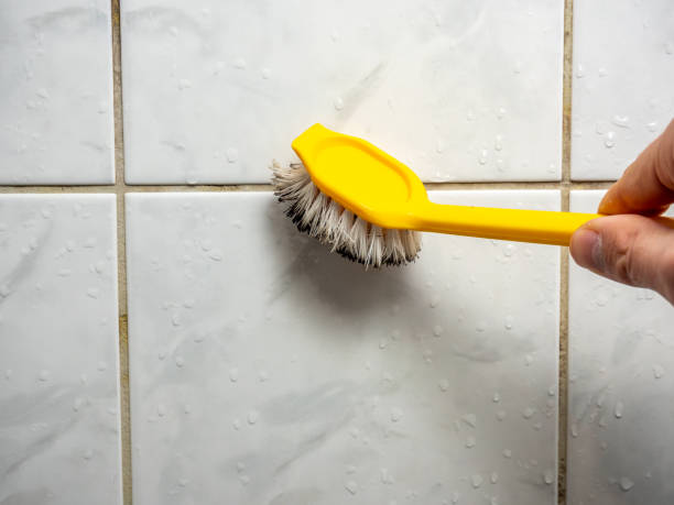 Best Toxic Mold Removal  in Bridgeville, PA