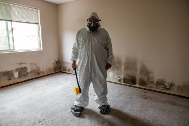 Best Mold Testing  in Bridgeville, PA